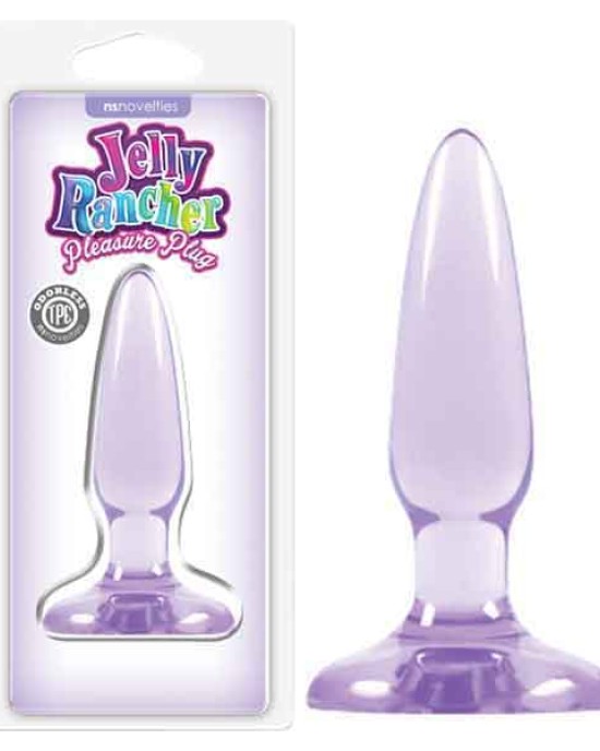 Jelly Rancher Pleasure Plug - Purple 8.1 cm (3.2'') Mini Butt Plug