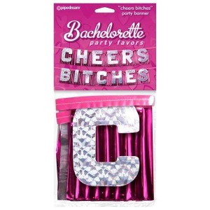 Bachelorette "Cheers Bitches" Party Banner