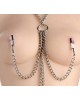 Master Series Nipple Chained Clit Clamp Set