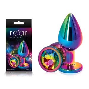 Rear Assets Multi Coloured Medium -Metal Butt Plug with Rainbow Gem Base