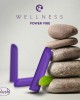 Wellness Power Vibe Bullet - Purple