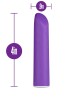 Wellness Power Vibe Bullet - Purple