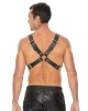 Ouch! Men's Large Buckle Harness