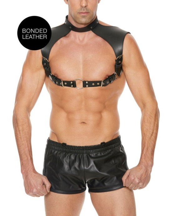 Ouch! Men's Harness with Neck Collar