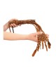 OUCH! Italian Leather 7 Braided Tails & 6 Handle Brown 61cm Whip