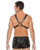 OUCH! Pyramid Stud Body Men's Harness