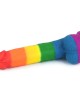 Prider 9 Inch Rainbow Dildo