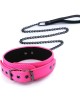 Electra Collar & Leash - Pink