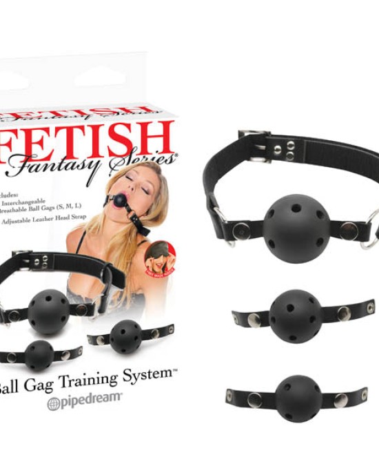 Fetish Fantasy Series Ball Gag Training System