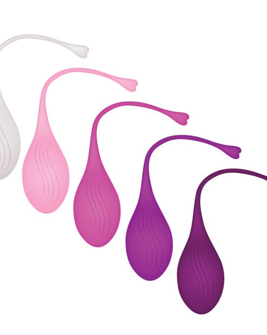 Evolved Tight & Delight Kegel Trainer Set - 5 Piece Kit