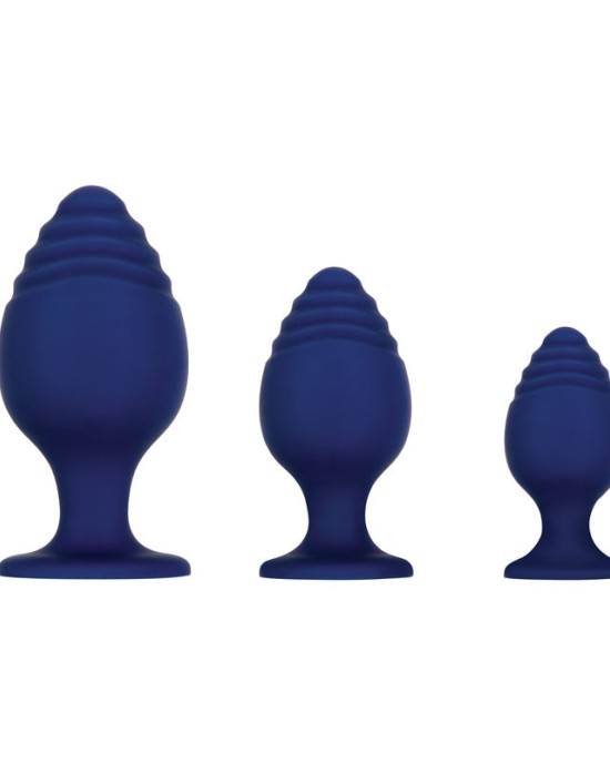 Evolved Get Your Groove On - Blue Butt Plugs - Set of 3 Sizes