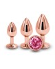 Rear Assets Rose Gold Round Pink Gem Trainer Kit - Set of 3