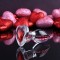 Adam & Eve Red Heart Gem Small Glass Butt Plug - Clear