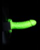 Ouch! Glow In The Dark Realistic 6 Inch Hollow Strap-on Harness