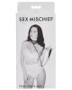 Sex & Mischief Fishnet Collar and Leash - Black