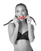 Sex & Mischief Amor Ball Gag - Red/Black