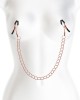 Bound Rose Gold Nipple Clamps with Chain