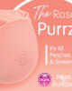 Skins Rose Buddies - The Rose Purrz - Pink